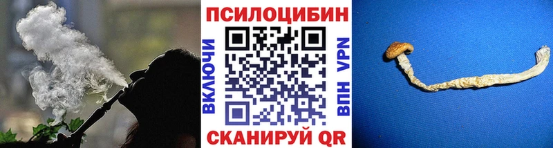 Псилоцибиновые грибы Cubensis  mega как зайти  Шимановск 